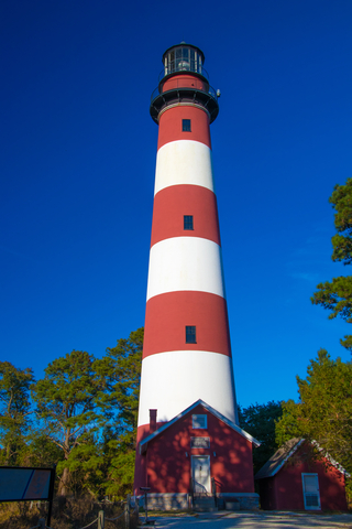 Assateague Lighthouse